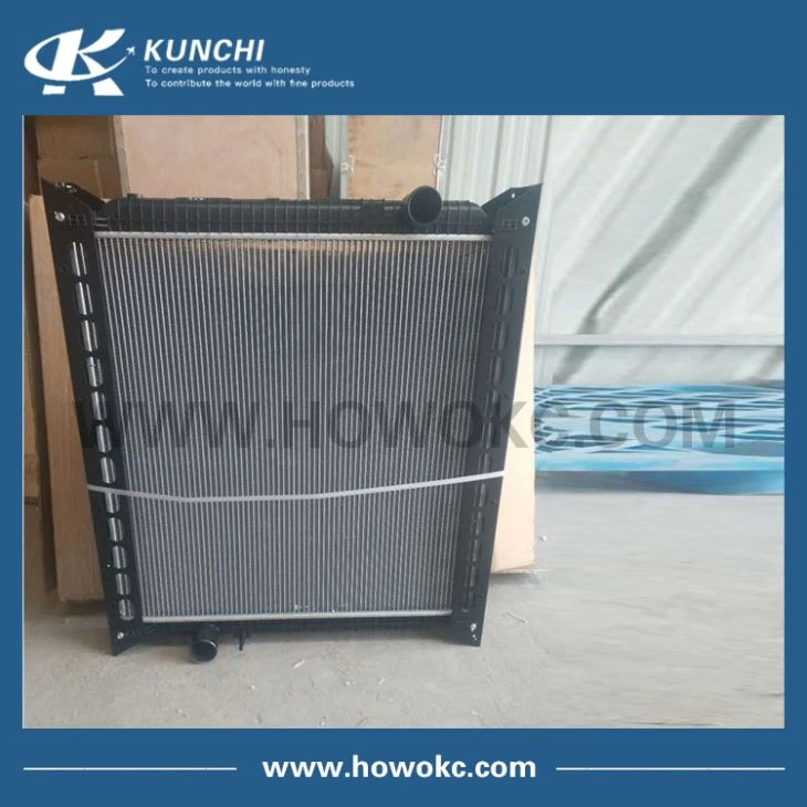 Sinotruck Howo Radiator Assembly WG9725530120/1