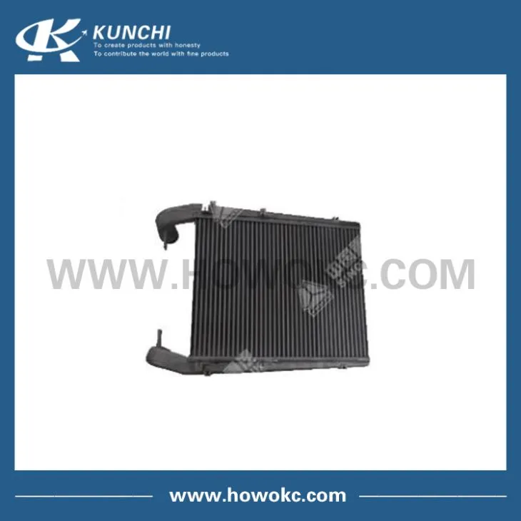 Sinotruk HOWO Intercooler WG9725530060
